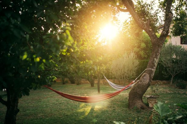 Canva.com Hängematte