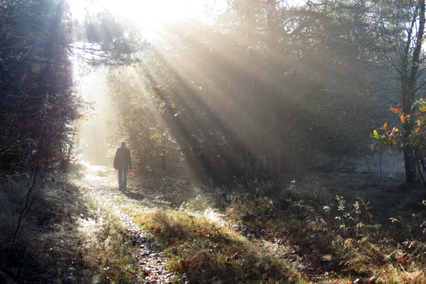 Spaziergeher:in Sonnenlicht Park